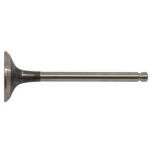 17-191 Exhaust Valve
