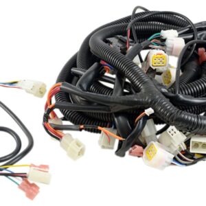 2WH755 Star EV Sirius 4/4+2 Accessory Harness